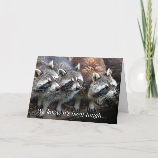 Vi vet att det har varit Tuff Raccoon Group Animal Kort (Framsida)