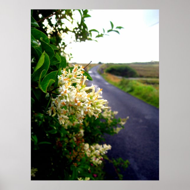 Via Blommigt Poster (Framsidan)