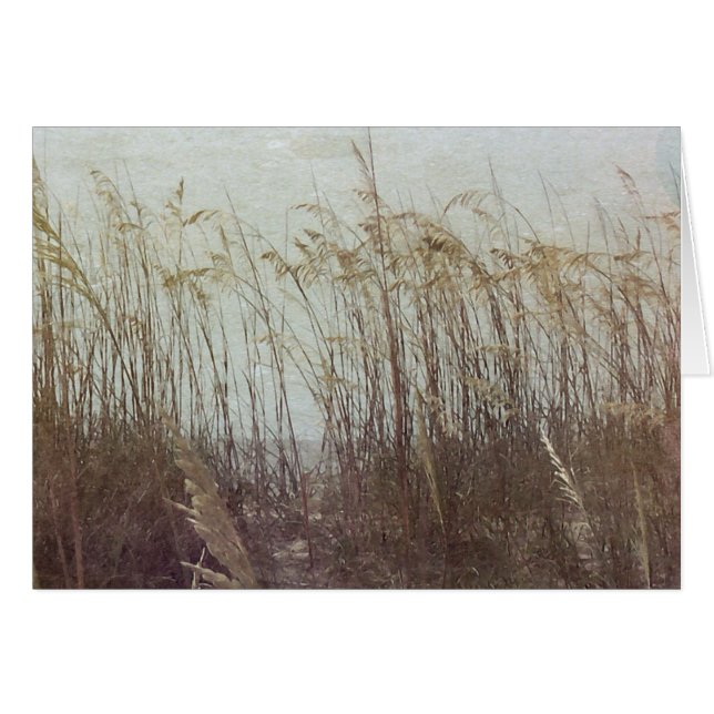 Via Dunes II Hälsningskort (Framsidan Horizontal)