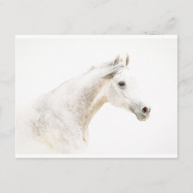 Via Mist Vykort (Framsida)