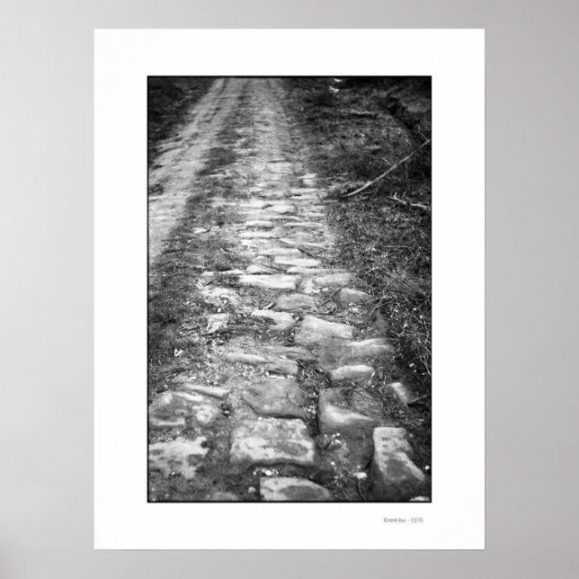 VIA ROMANA POSTER (Framsidan)