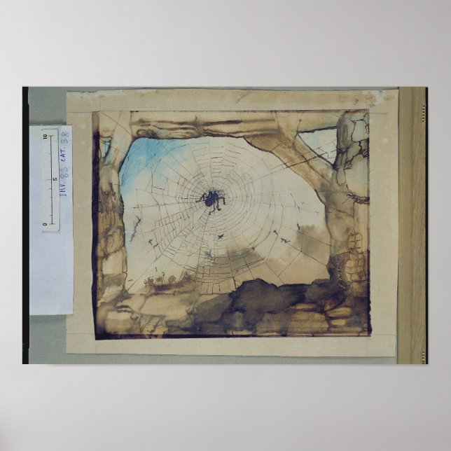 Vianden genom en Spiders Webben Poster (Framsidan)