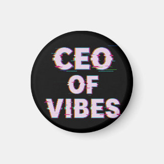 VIBE CEO PROTOCOL - Reality Glitch (Instant Aura U Magnet