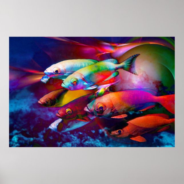 VIBRANCE POSTER (Framsidan)