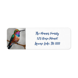 Vibrant Allens Hummingbird Painting Returadress Etikett