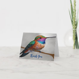 Vibrant Allens Hummingbird Painting Tack Kort