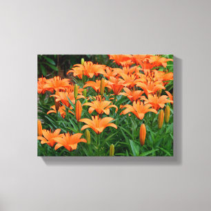Vibrant Asian Lilies Canvastryck
