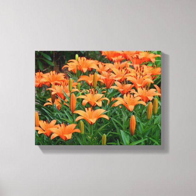 Vibrant Asian Lilies Canvastryck (Framsida)