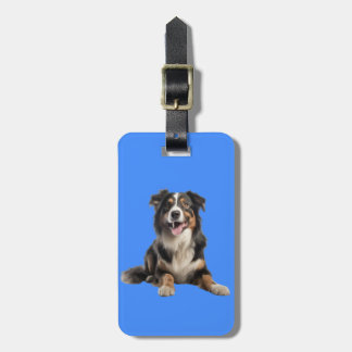 Vibrant Australian shepherd Hund | Bagagebricka
