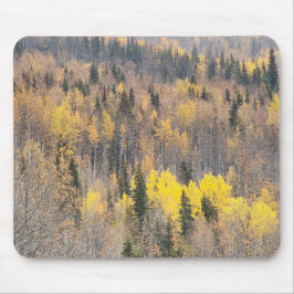 Vibrant Autumn Forest Mousepad Musmatta