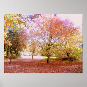 Vibrant Autumn Träd Poster