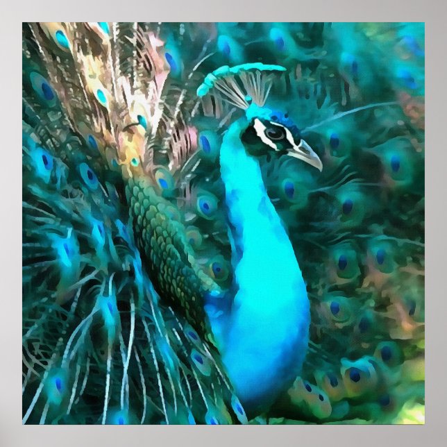 Vibrant blå boskap med konserverad Svan Poster (Framsidan)