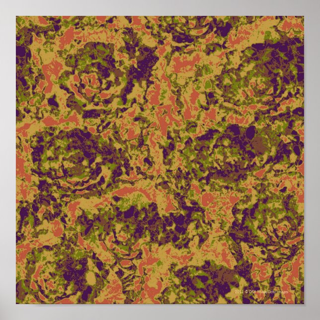 Vibrant blomkamouflage mönster poster (Framsidan)