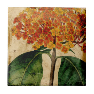 Vibrant Blommigt I Kakelplatta