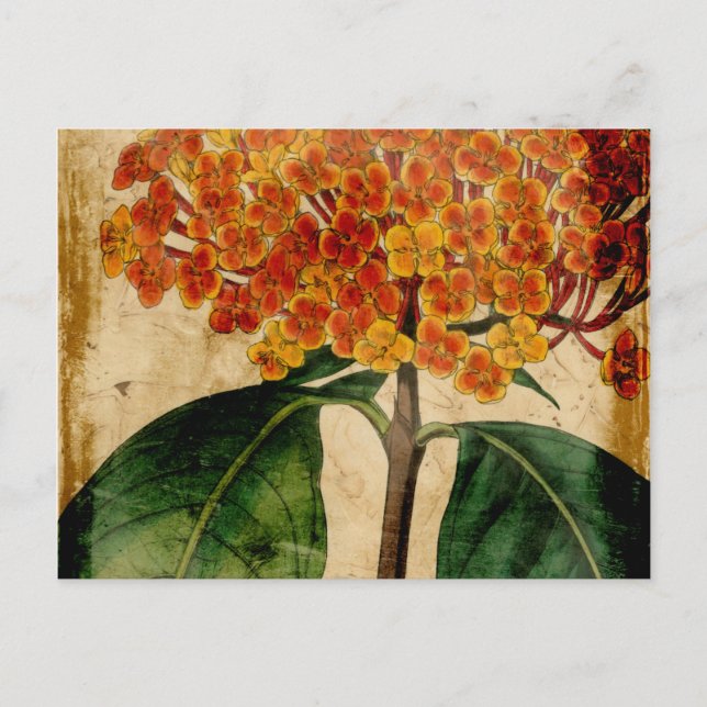 Vibrant Blommigt I Vykort (Framsida)