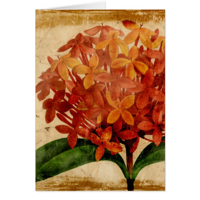 Vibrant Blommigt III Hälsningskort (Framsidan)