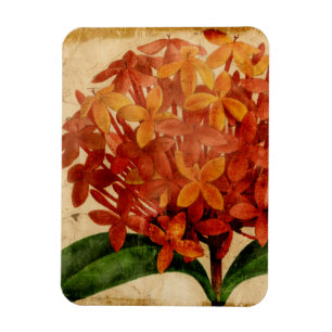 Vibrant Blommigt III Magnet