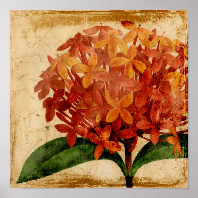 Vibrant Blommigt III Poster (Framsidan)