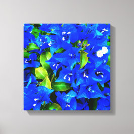 Vibrant Blue Bougainvillea Flowers Canvastryck