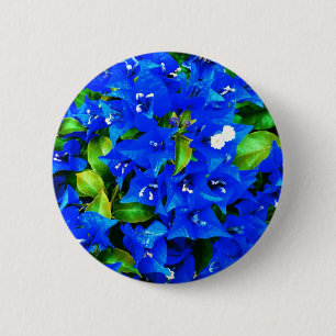 Vibrant Blue Bougainvillea Flowers Knapp