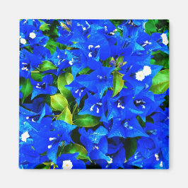 Vibrant Blue Bougainvillea Flowers Magnet