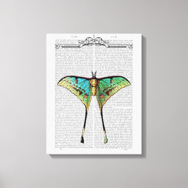 Vibrant Butterfly Canvastryck (Framsida)