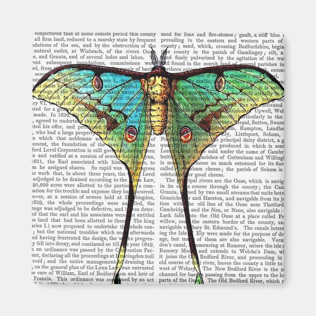 Vibrant Butterfly Magnet (Framsidan)