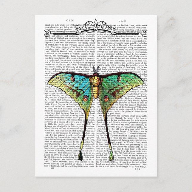 Vibrant Butterfly Vykort (Framsida)