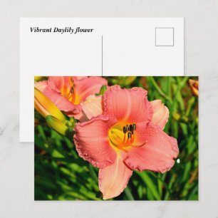 Vibrant Day-blommor Vykort