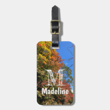 Vibrant Färgad Maples