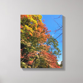 Vibrant Färgad Maples Canvastryck