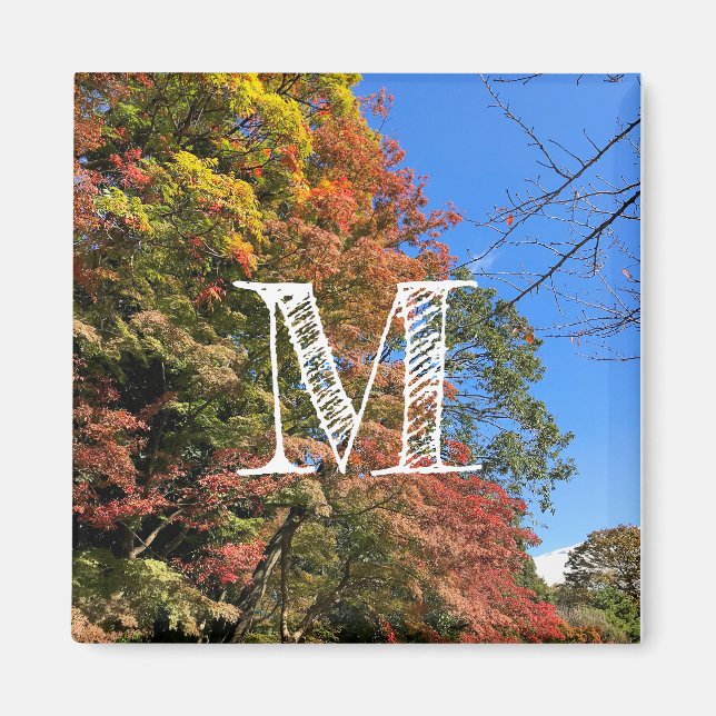 Vibrant Färgad Maples Magnet (Framsidan)