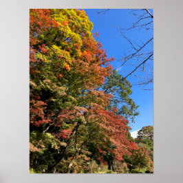 Vibrant Färgad Maples Poster