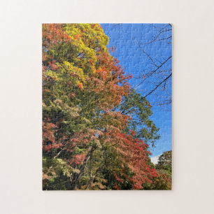 Vibrant Färgad Maples Pussel