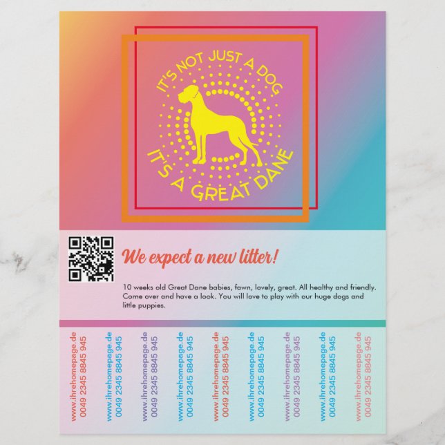 Vibrant färgs försäljningsflygare reklamblad (Framsidan)