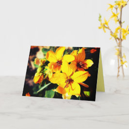 Vibrant Flowers Kort