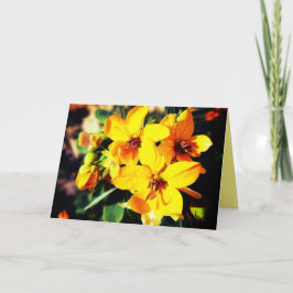 Vibrant Flowers Kort