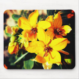 Vibrant Flowers Musmatta