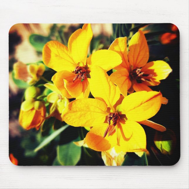Vibrant Flowers Musmatta (Framsidan)