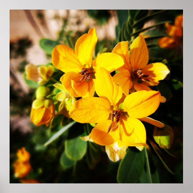 Vibrant Flowers Poster (Framsidan)
