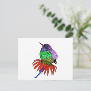 Vibrant Fluffy Baby Hummingbird Vykort