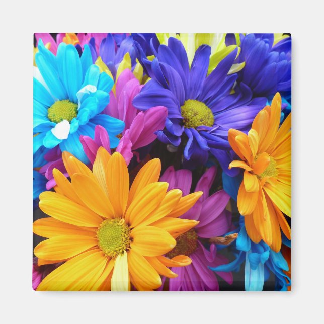 Vibrant Gerbera Daisy Bouquet Magnet (Framsidan)