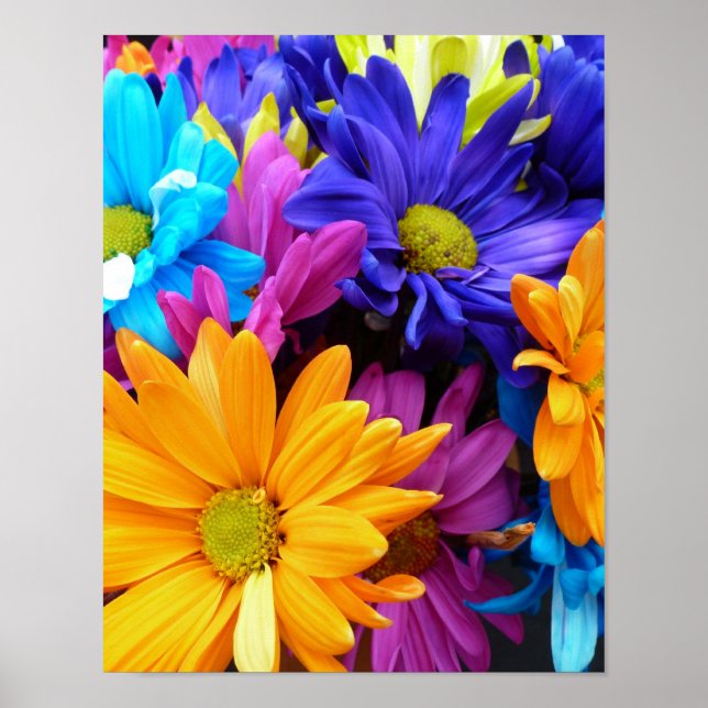 Vibrant Gerbera Daisy Bouquet Poster (Framsidan)