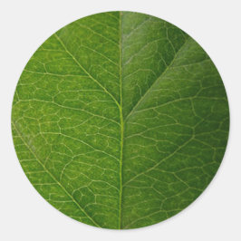 Vibrant Grönt Löv Round Sticker - Naturens skönhet Runt Klistermärke