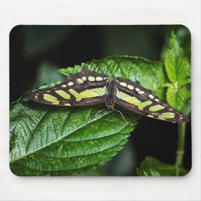 Vibrant Grönt Mousepad Musmatta (Framsidan)