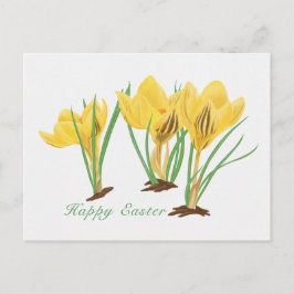 Vibrant Gult Crocus Flowers Glad påsk Helg Vykort