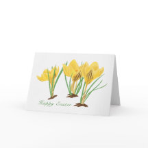 Vibrant Gult Crocus Flowers Glad påsk