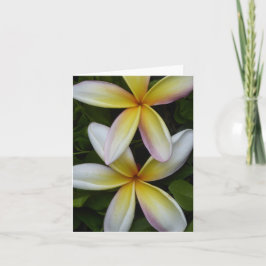 Vibrant Hawaii Flowers-kort för mappad hälsning Kort