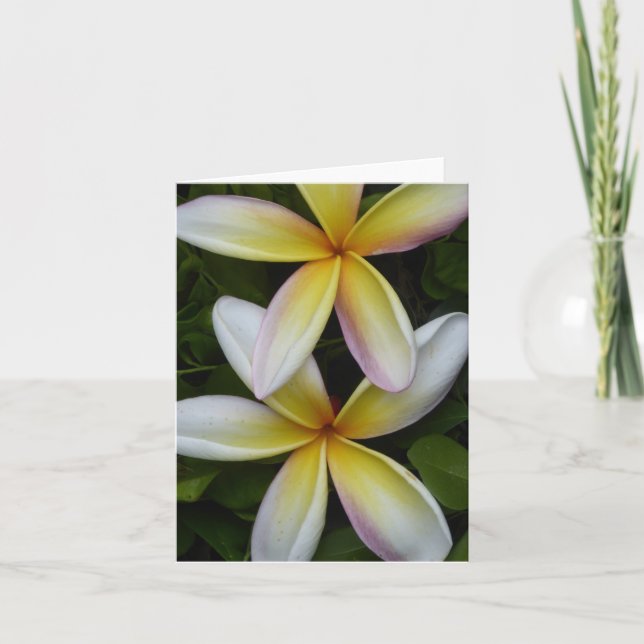 Vibrant Hawaii Flowers-kort för mappad hälsning Kort (Framsida)