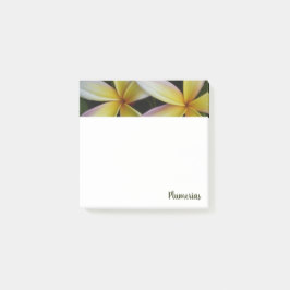 Vibrant Hawaiian Plumerias Square Post-it Block